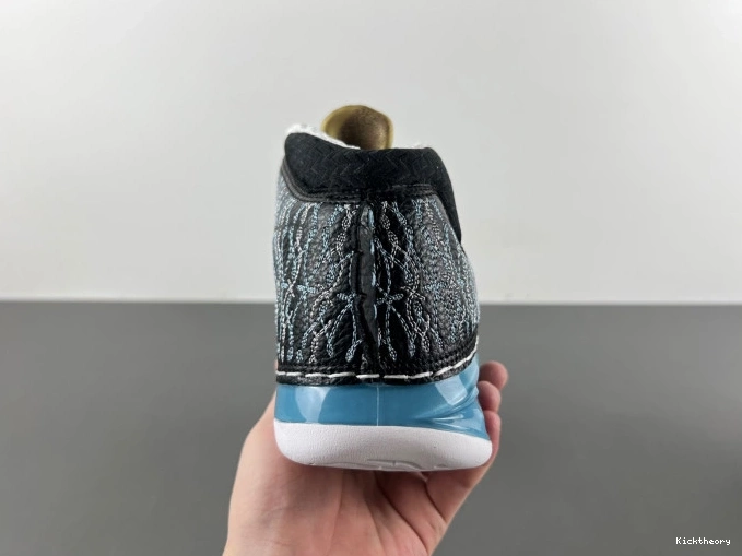 Kick Theory 23 Jordan UNC 318376-041 0812